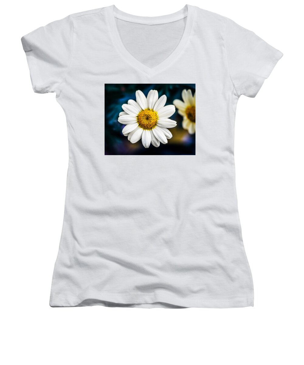 Daisy Women's V-Neck featuring the photograph Wild Daisy by Nick Bywater