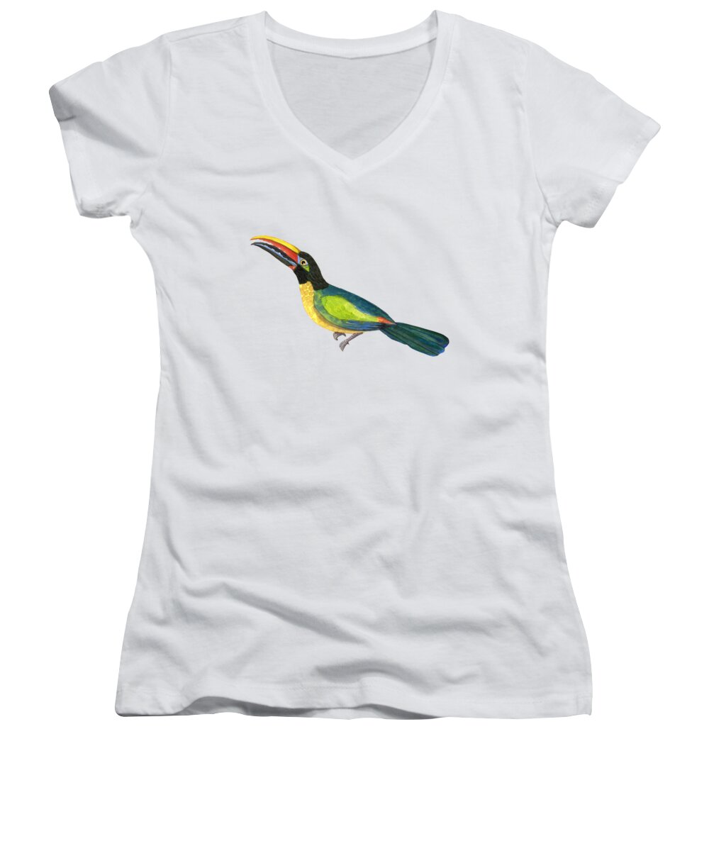 Toucan Women's V-Neck featuring the painting Winged Jewels 2, Watercolor Toucan Rainforest Birds by Audrey Jeanne Roberts