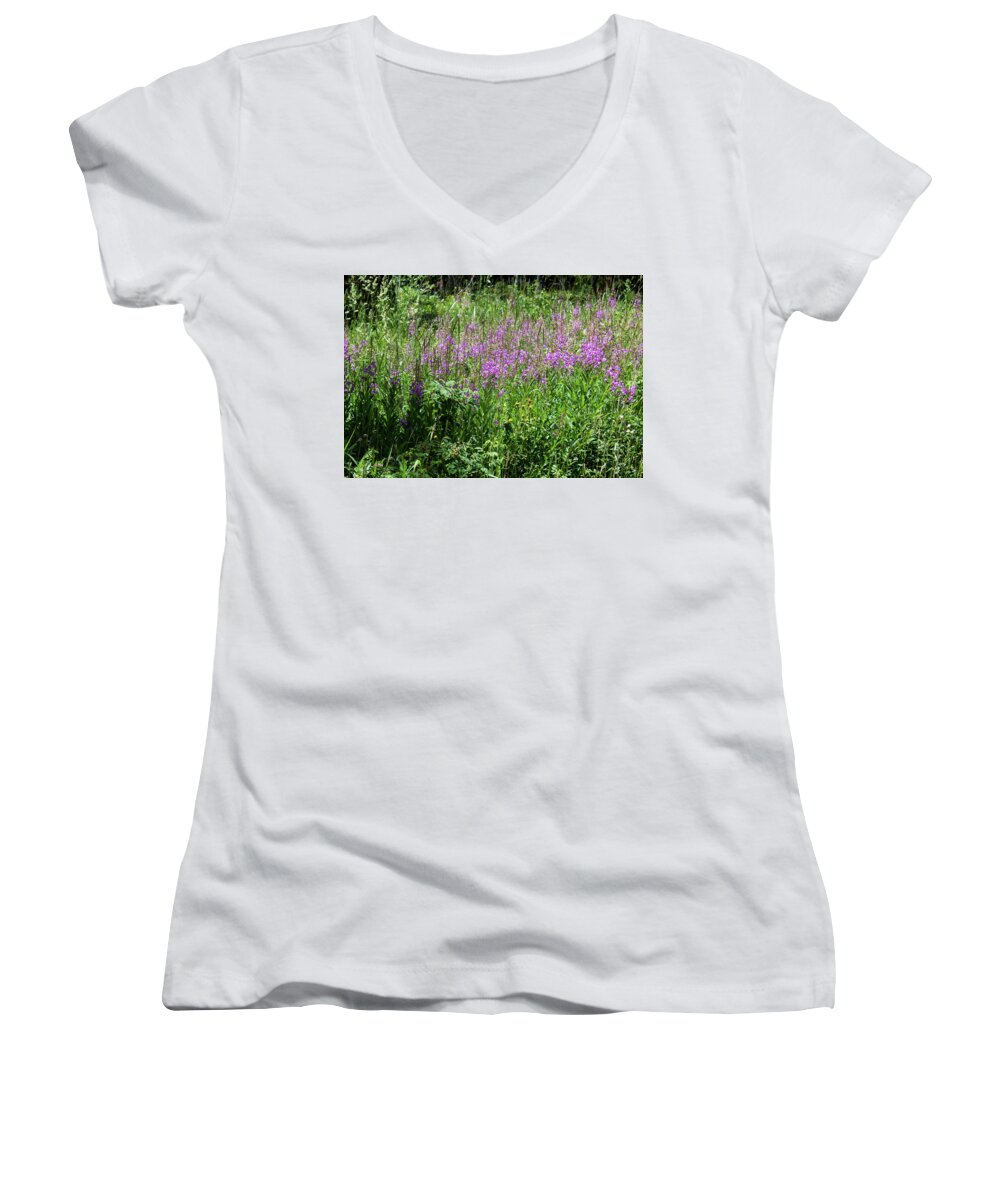 Purple Wyoming Wildflowers. Women's V-Neck featuring the photograph Wyoming Meadow by Elaine Webster
