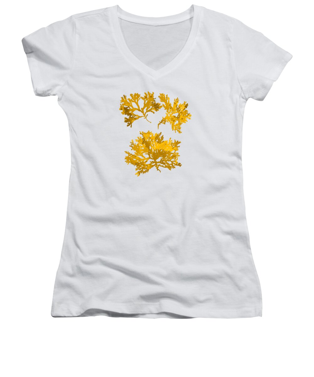 Seaweed Women's V-Neck featuring the mixed media Gold Seaweed Art Delesseria Alata by Christina Rollo