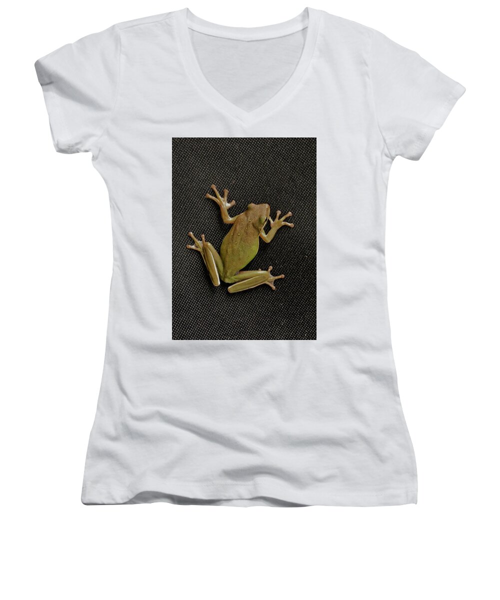 Frog Women's V-Neck featuring the photograph Tree Frog #1 by Nathan Little