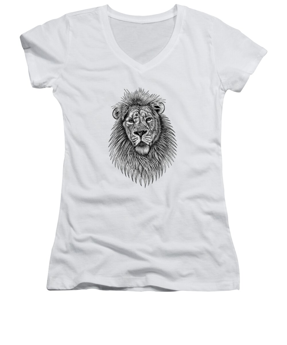Lion Women's V-Neck featuring the drawing Asiatic lion by Loren Dowding