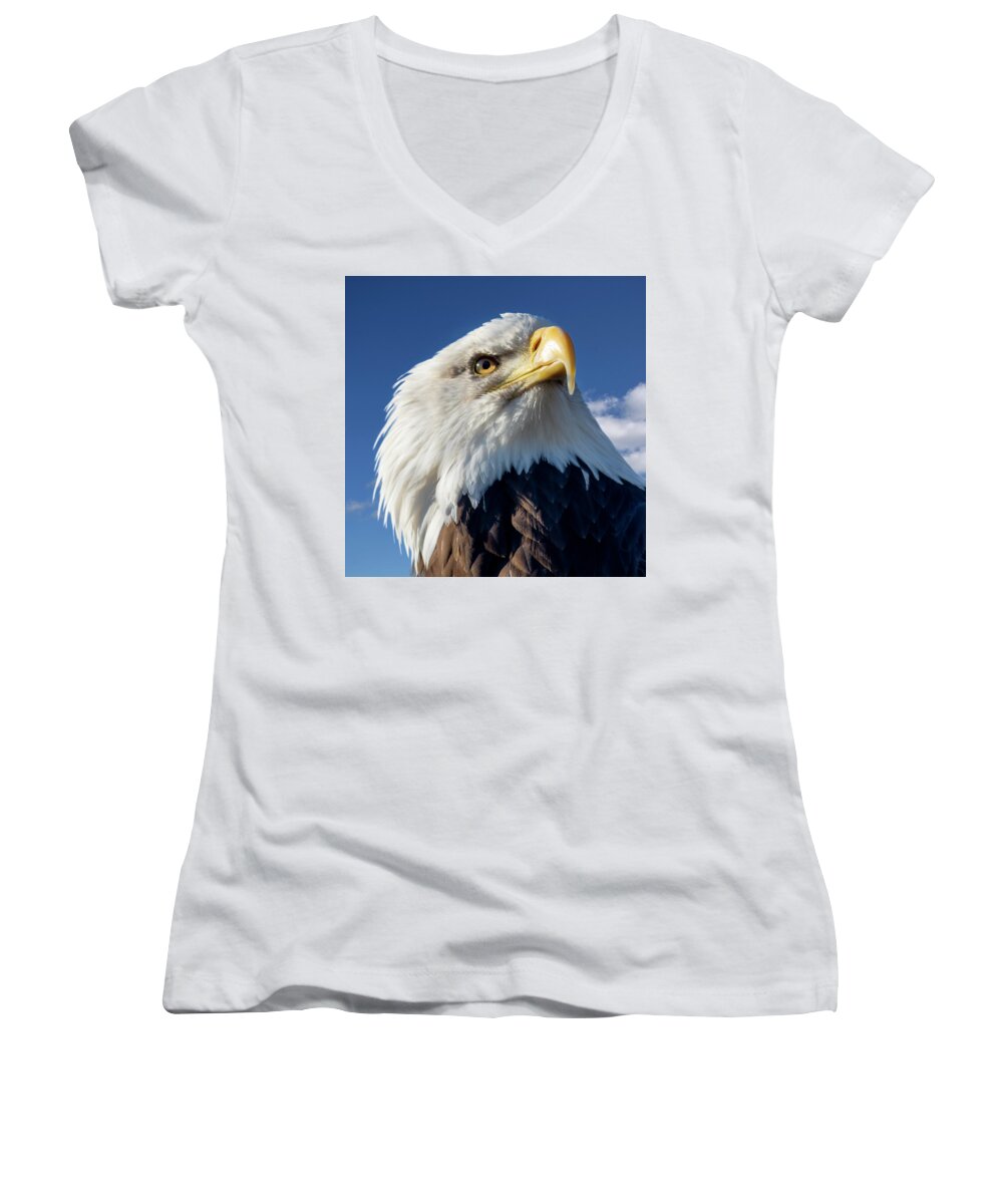 Eagle Women's V-Neck featuring the photograph Bald Eagle 2 by Steev Stamford