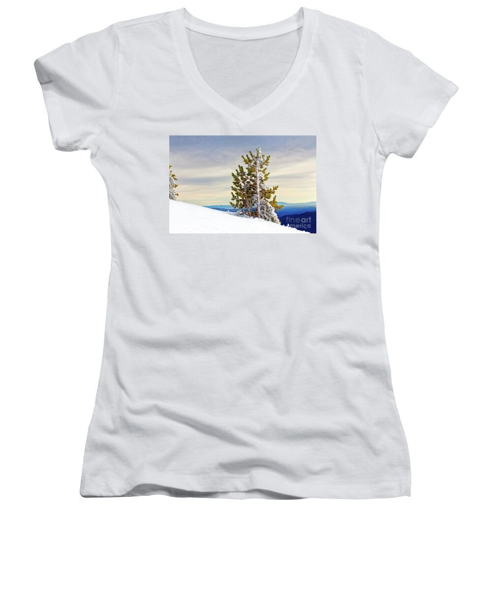 Nature Women's V-Neck featuring the photograph Closeup winter windblown ice coated conifer tree snowy hillside tree line colorful sky distant hills by Robert C Paulson Jr