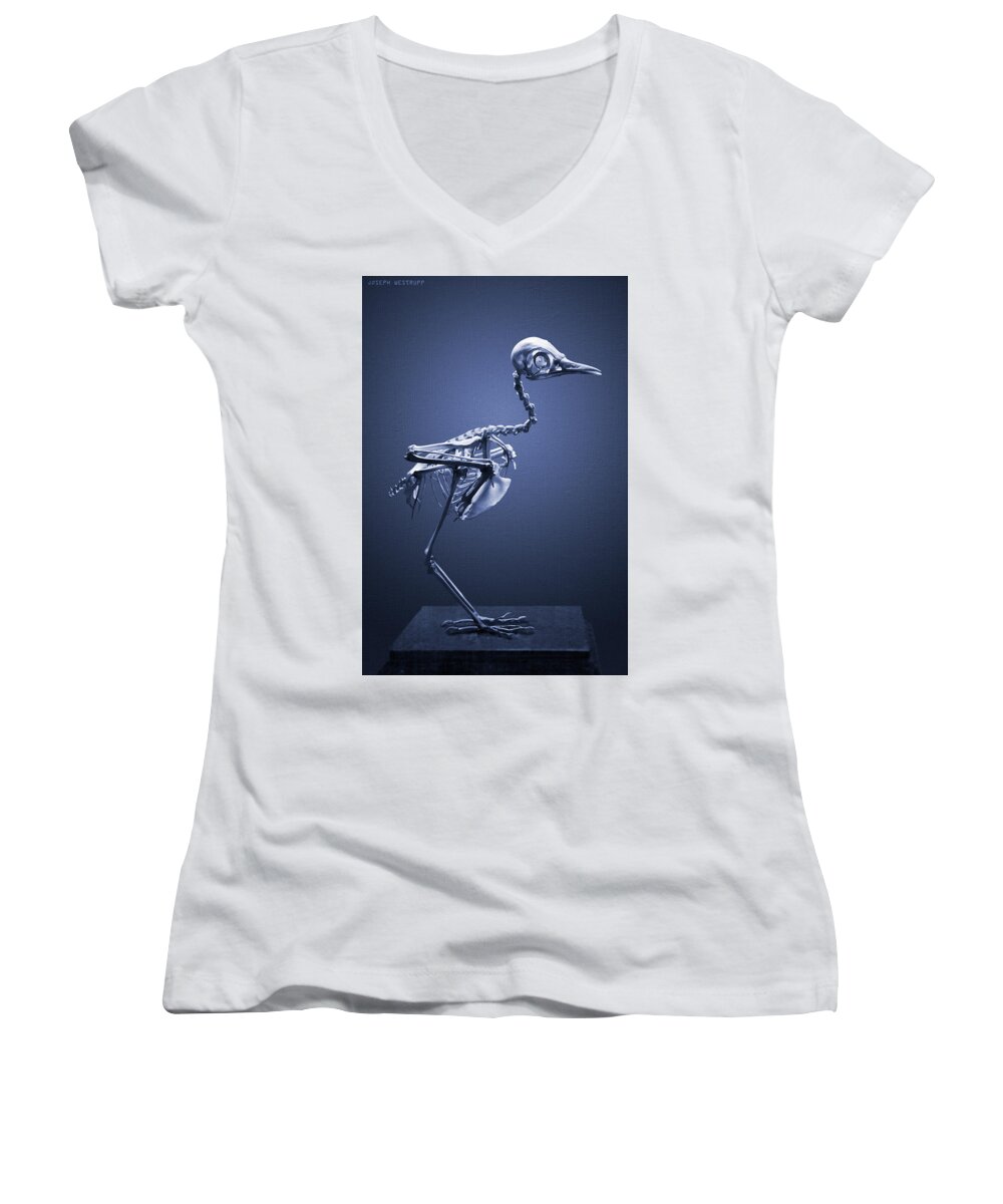 Bones Women's V-Neck featuring the photograph Featherless in Blue by Joseph Westrupp