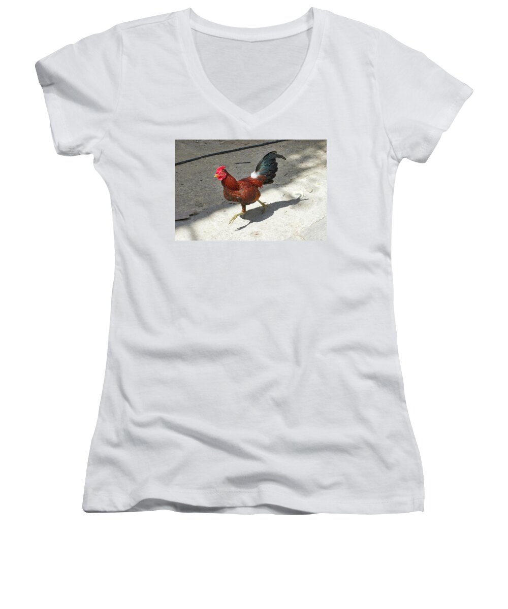 Rooster Women's V-Neck featuring the photograph Havana Rooster by Paul Rebmann