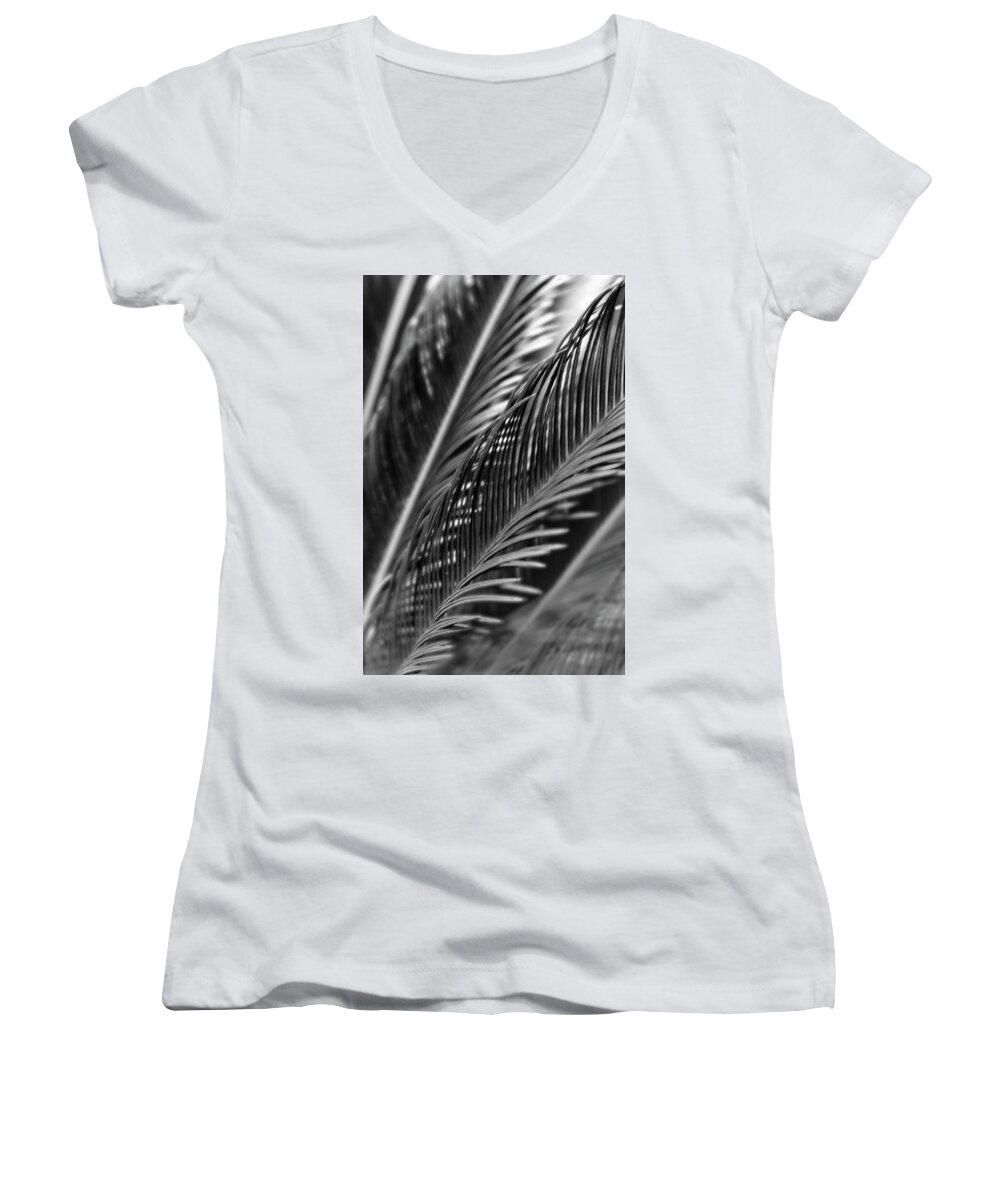 Flores Women's V-Neck featuring the photograph Palm by Silvia Marcoschamer