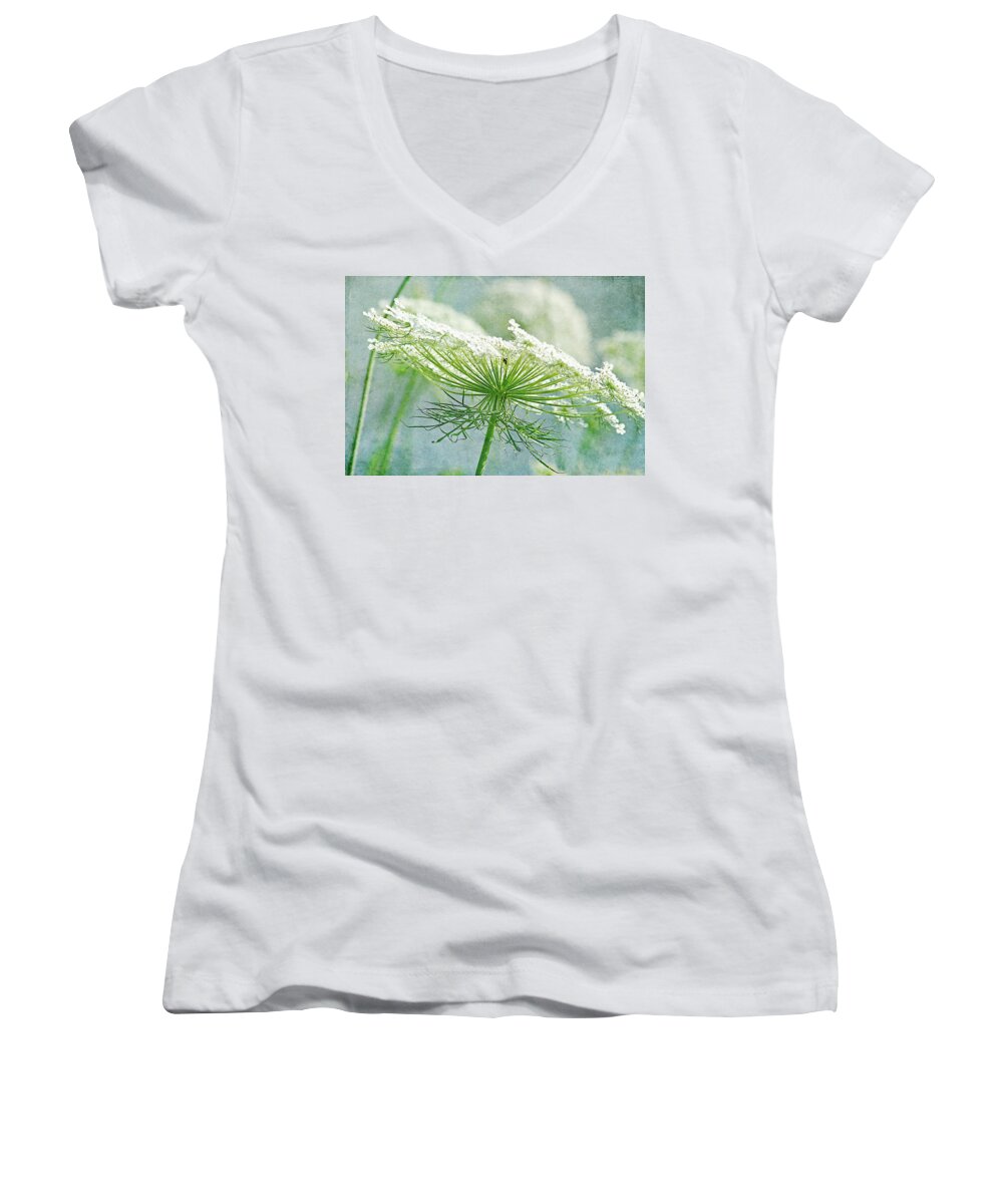 Queen Anne's Lace Women's V-Neck featuring the photograph Queen Anne's Lace 3 by Cindi Ressler