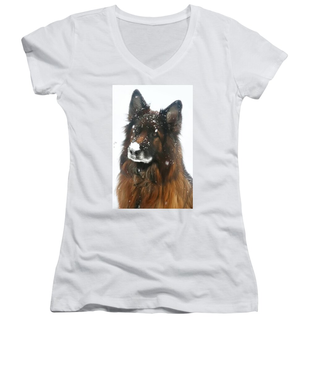 Dog Women's V-Neck featuring the photograph Snow Nose by Pat Purdy