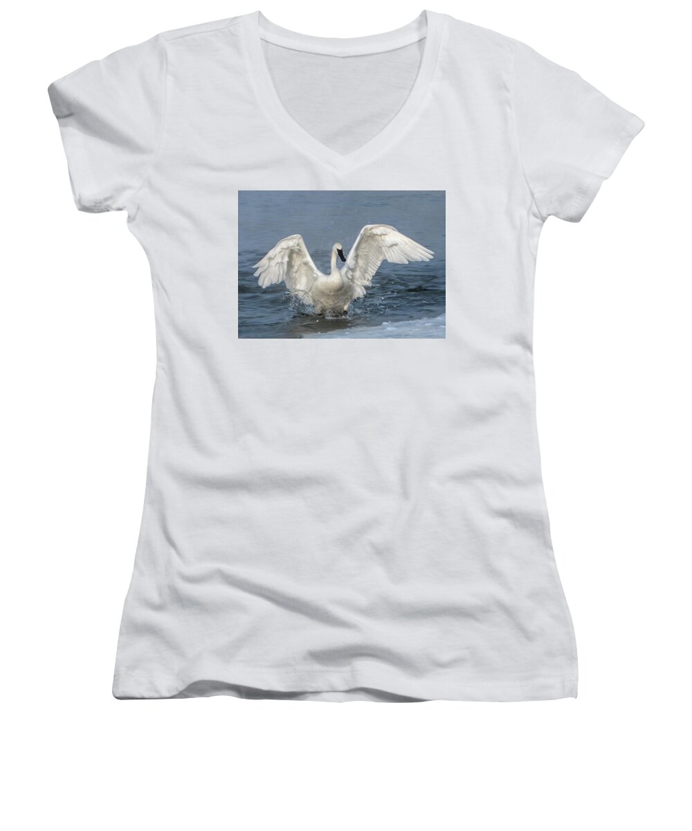 White Women's V-Neck featuring the photograph Trumpeter Swan Splash by Patti Deters