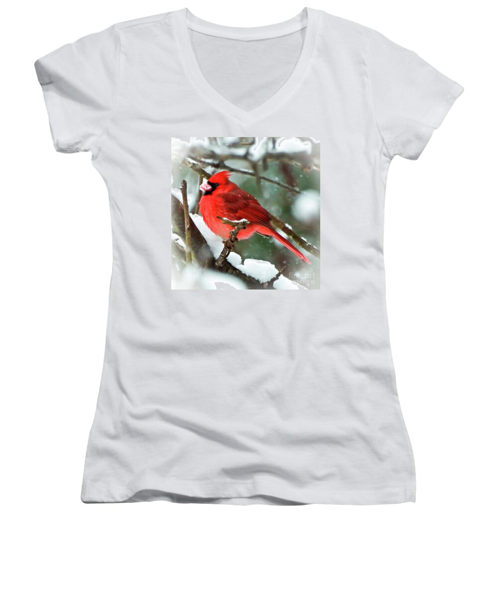 Cardinal Women's V-Neck featuring the photograph Winter Red Bird - Male Northern Cardinal with a Snow Beak by Kerri Farley