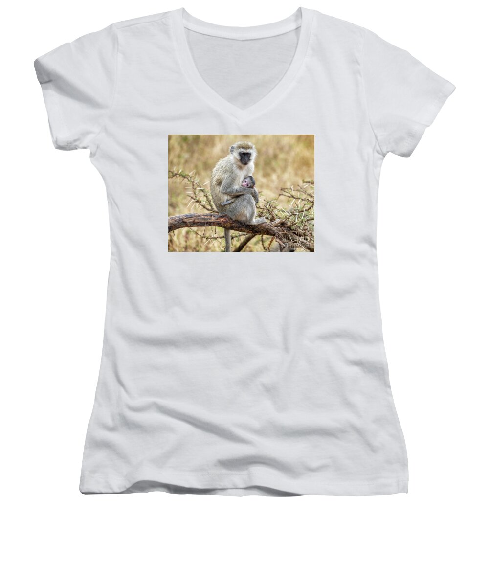 Animals Women's V-Neck featuring the photograph A Tender Moment #2 by Sandra Bronstein