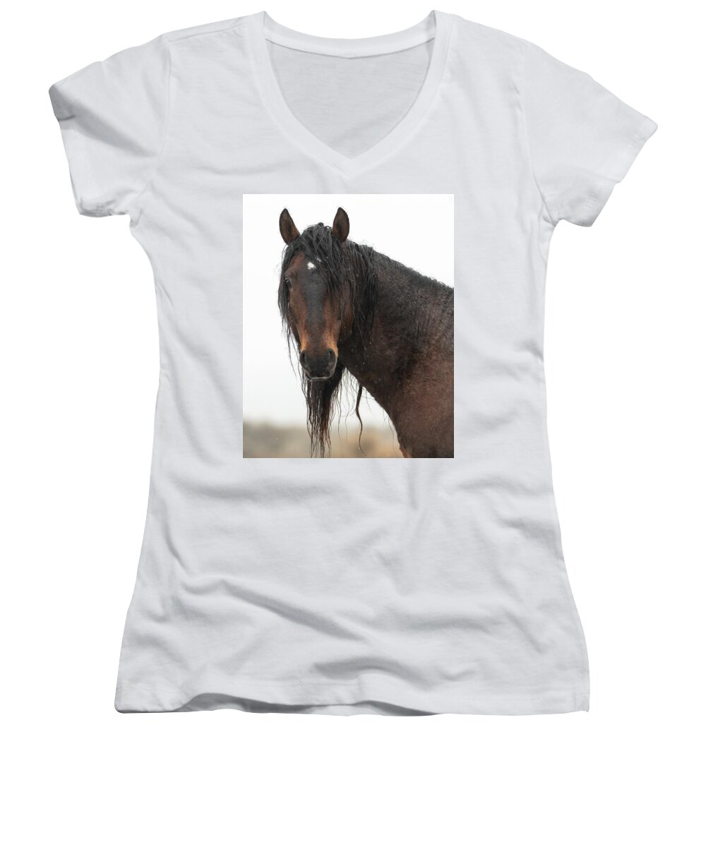 Horses Women's V-Neck featuring the photograph Intensity #1 by Mary Hone