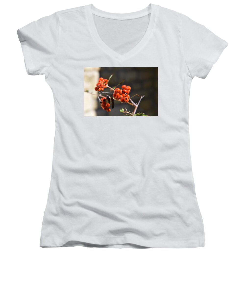 Christmas Women's V-Neck featuring the photograph Christmas is Coming by Leo Sopicki