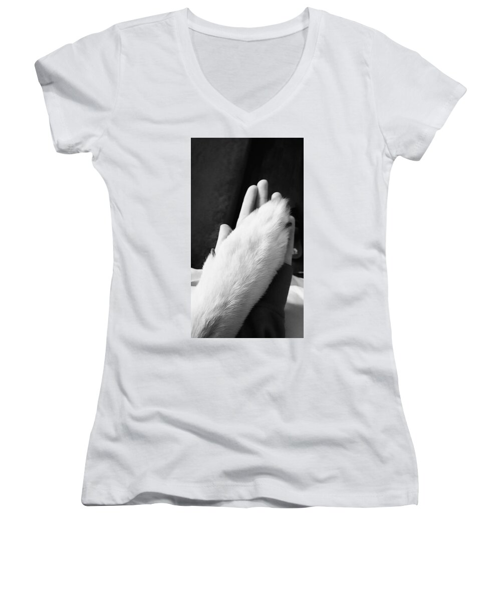 Dog Women's V-Neck featuring the photograph Connection by Margaret Jacobs