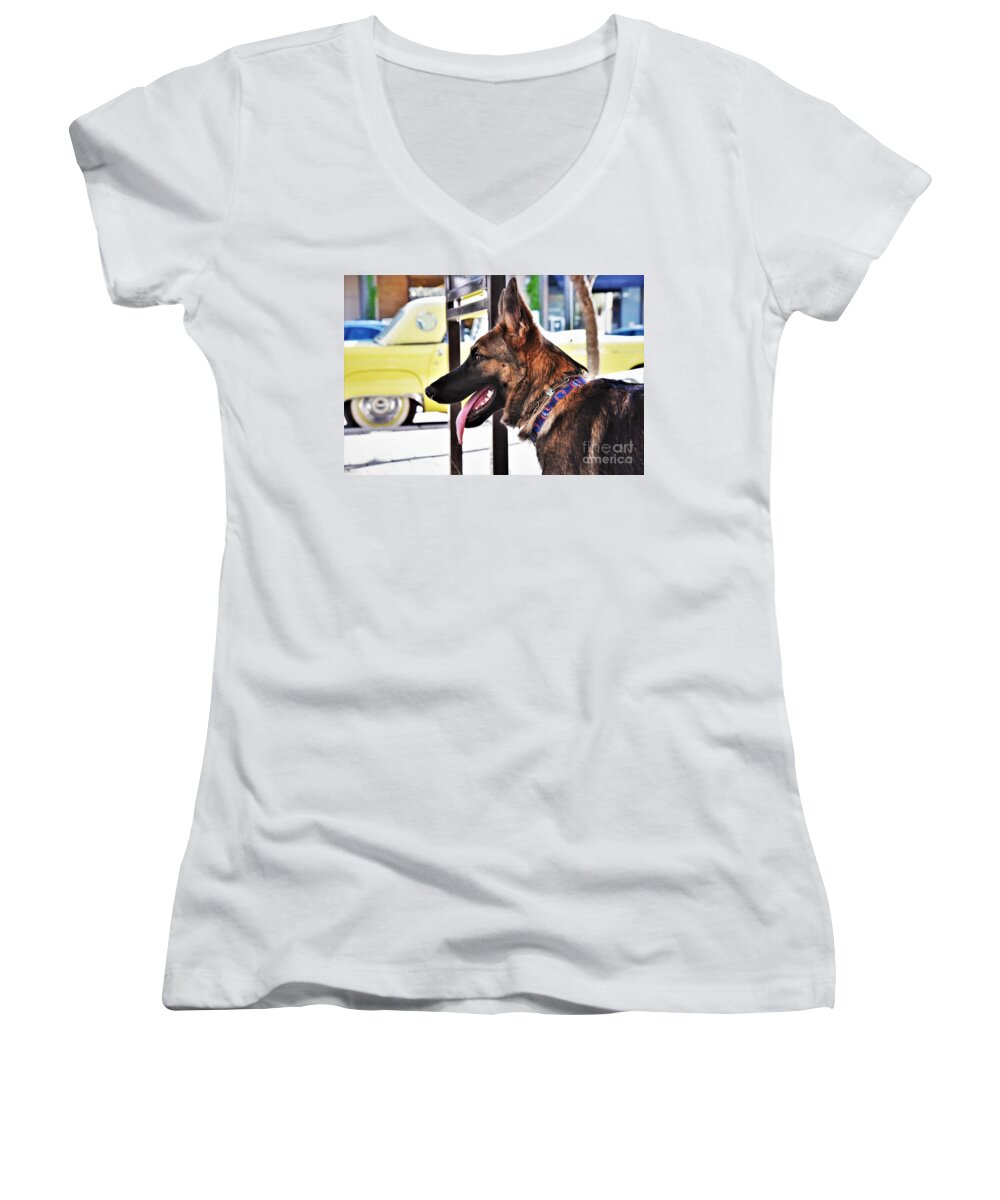 Dog Women's V-Neck featuring the photograph Dog and Bird by Leo Sopicki