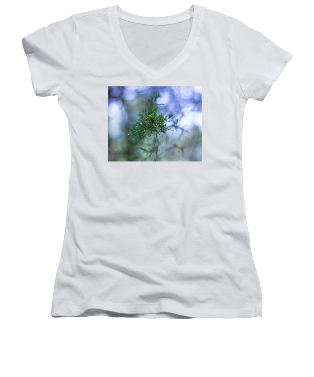 Tree Women's V-Neck featuring the photograph Evergreen by David Beechum