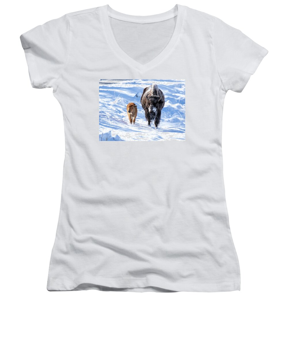Bison Women's V-Neck featuring the photograph First Snow by Shari Sommerfeld