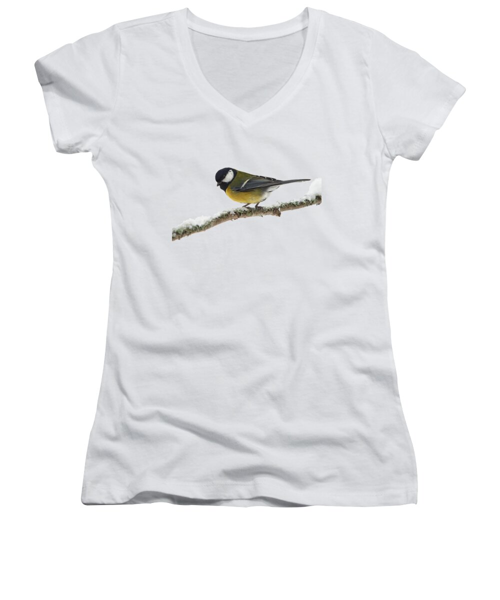 Finland Women's V-Neck featuring the photograph Great tit transparent by Jouko Lehto