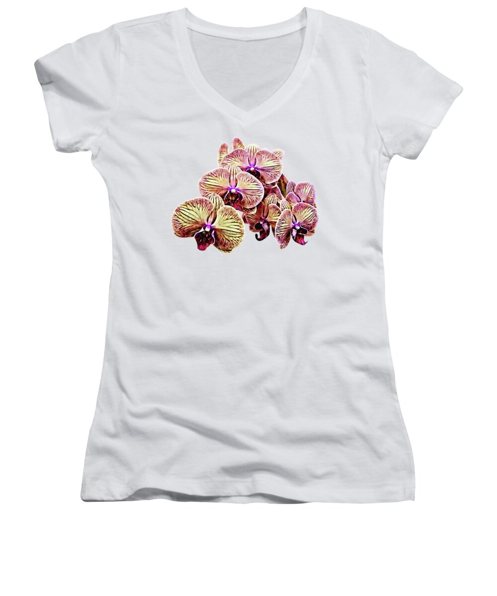 Orchid Women's V-Neck featuring the photograph Group of Phalaenopsis Orchids by Susan Savad
