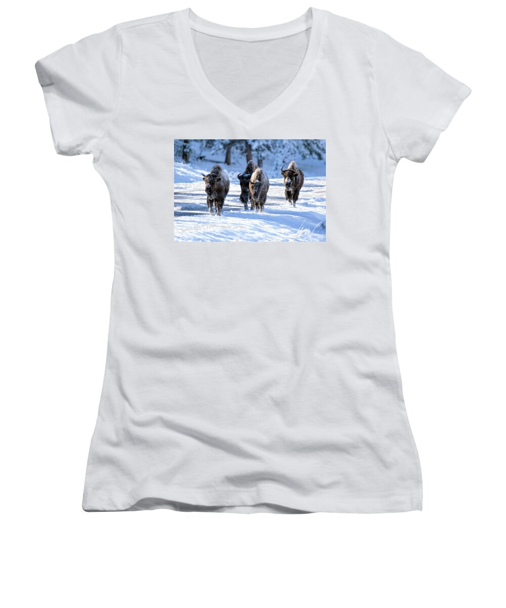 Bison Women's V-Neck featuring the photograph Here We Come... by Shari Sommerfeld