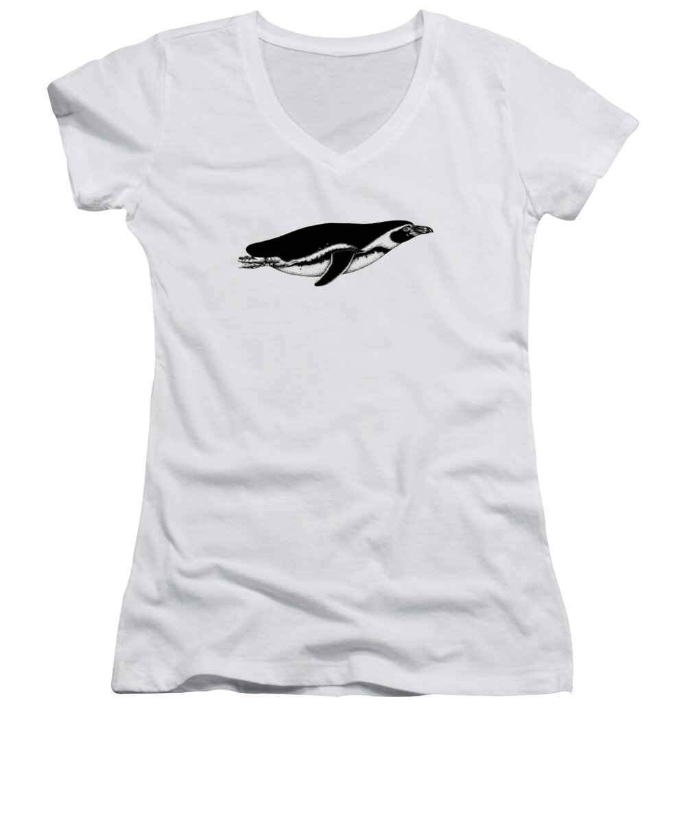 Penguin Women's V-Neck featuring the drawing Humboldt penguin swimming by Loren Dowding