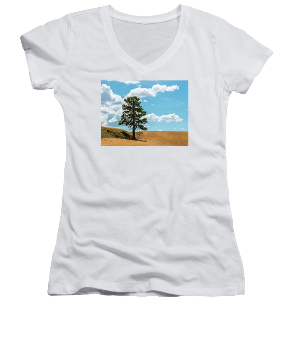 Landscapes Women's V-Neck featuring the photograph Lonesome Pine by Claude Dalley