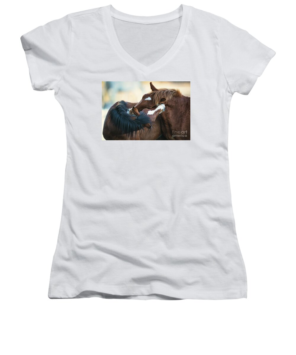 Salt River Wild Horses Women's V-Neck featuring the photograph Love by Shannon Hastings