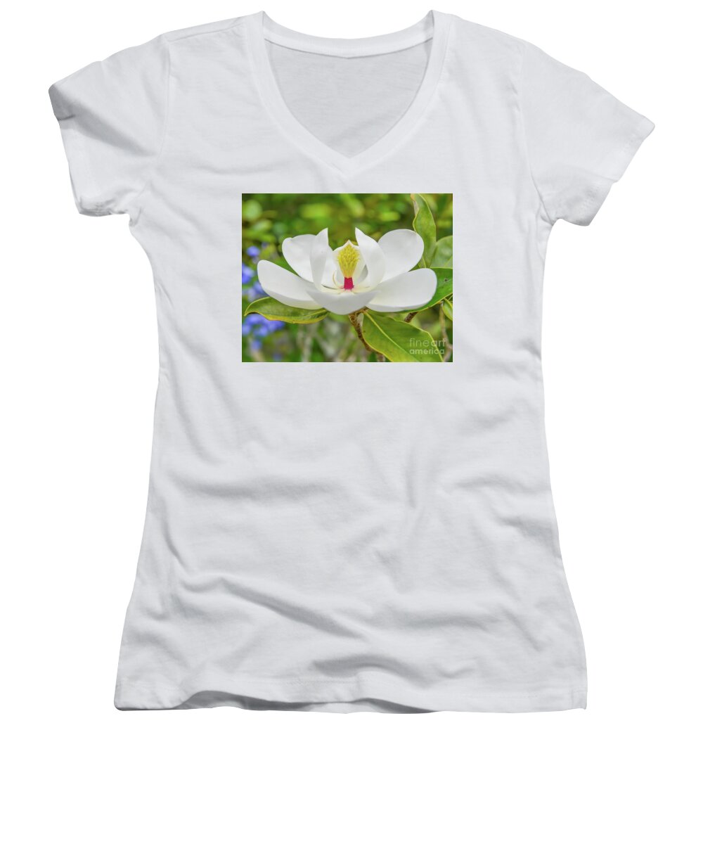 Magnolia Women's V-Neck featuring the photograph Magnolia flower by Olga Hamilton
