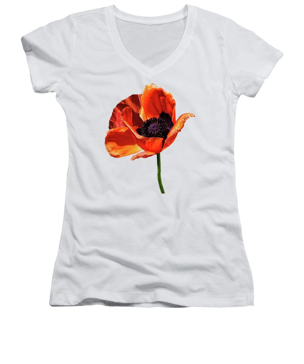 Poppy Women's V-Neck featuring the photograph Red Poppy in Sunshine by Susan Savad