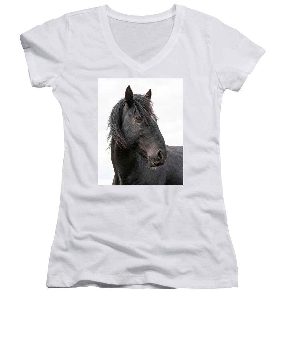Horses Women's V-Neck featuring the photograph True by Mary Hone