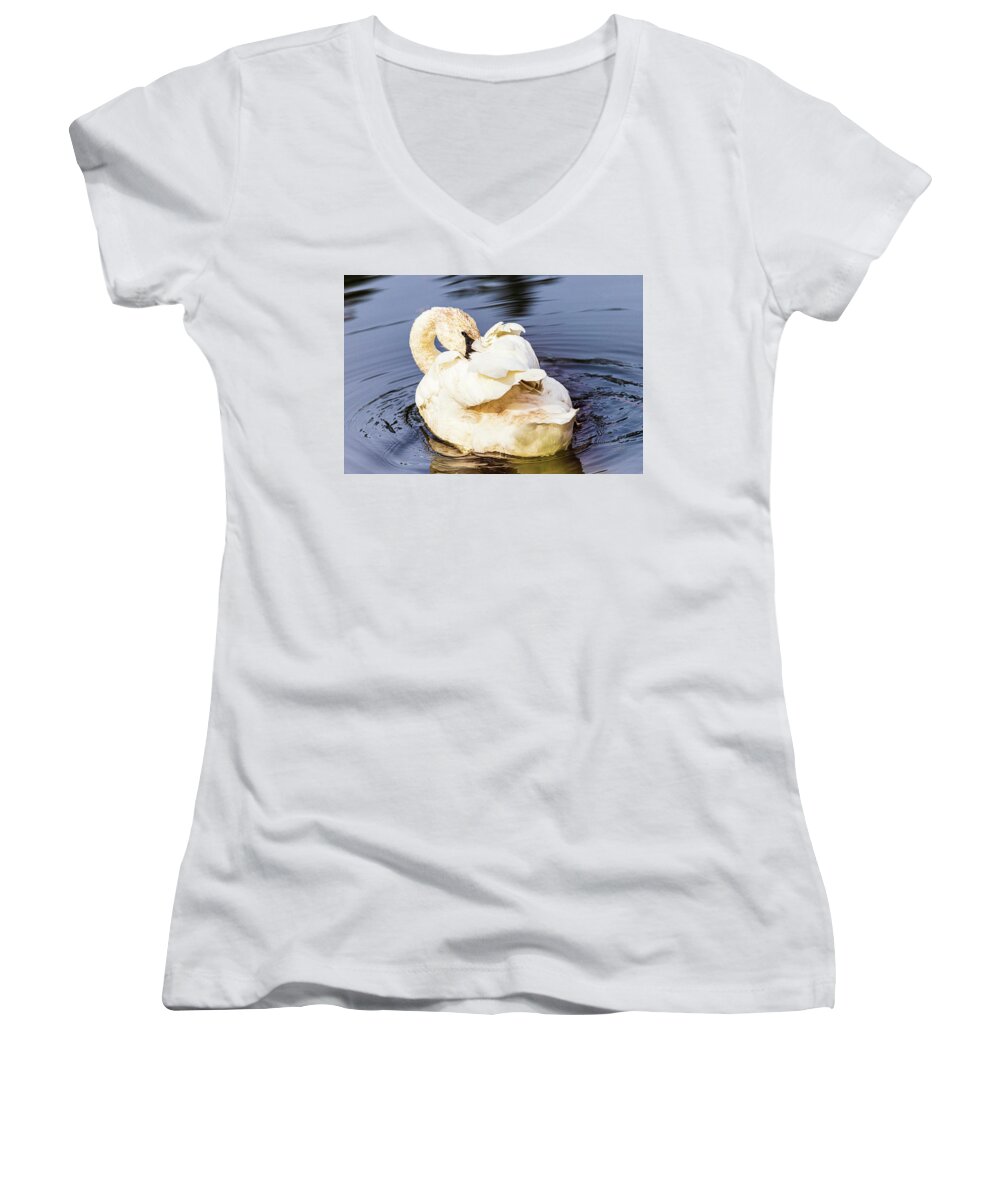 Wildlife Women's V-Neck featuring the photograph Trumpeter Swan by Claude Dalley
