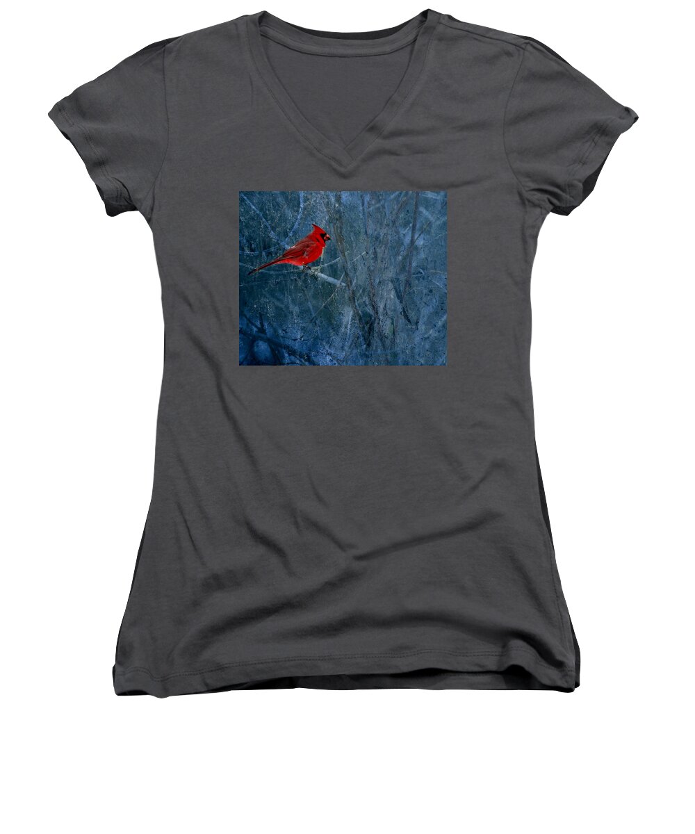 Male Northern Cardinal Women's V-Neck featuring the photograph Northern Cardinal by Thomas Young