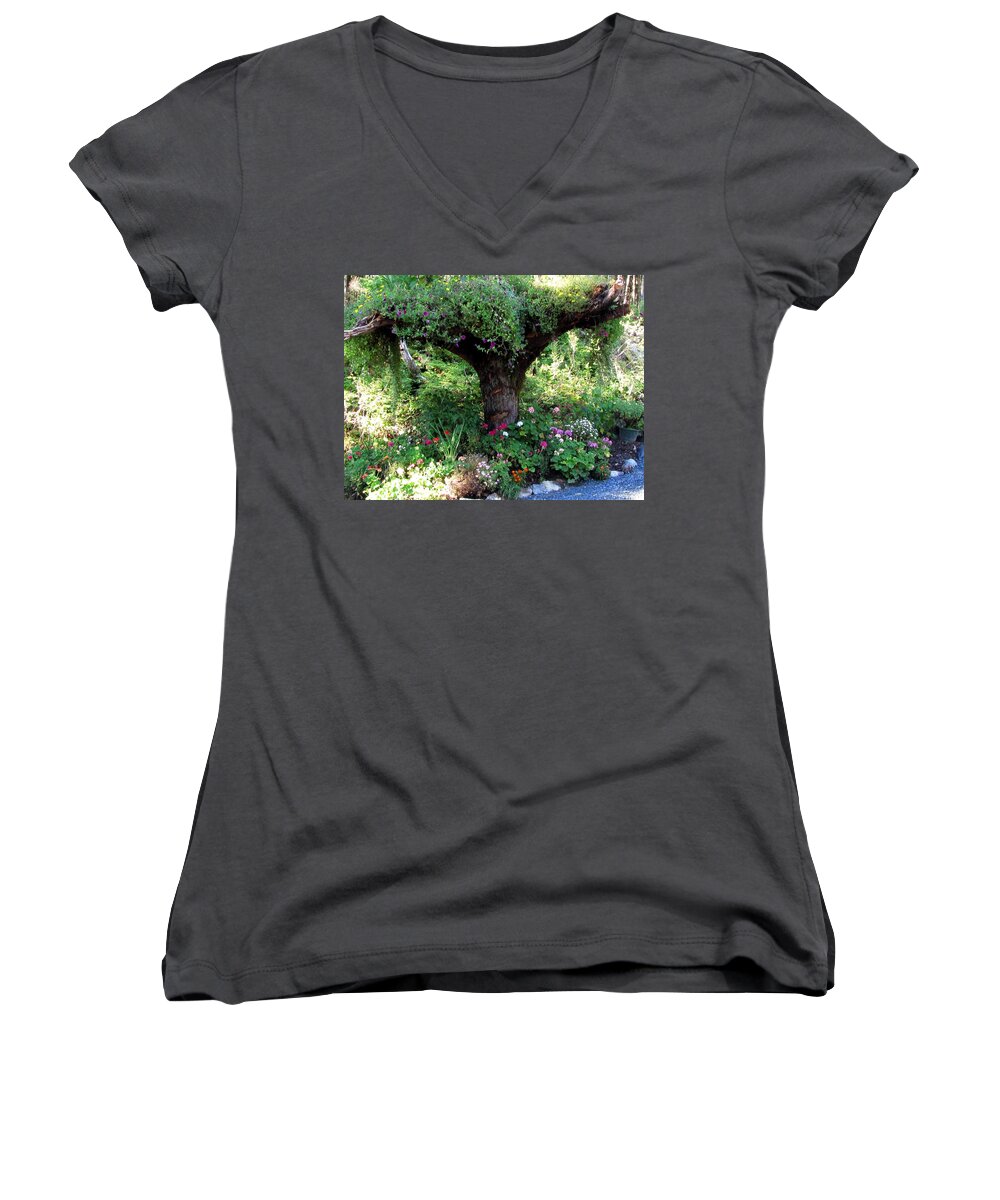 Juneau Women's V-Neck featuring the photograph Upside Down Tree by Jennifer Wheatley Wolf