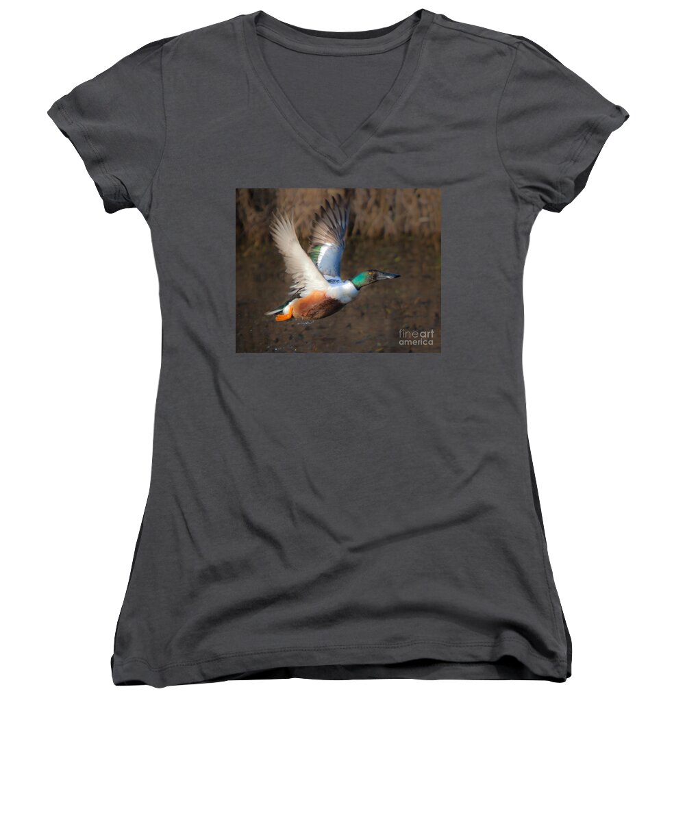 Male Women's V-Neck featuring the photograph Male Northern Shoveler #1 by Ronald Lutz