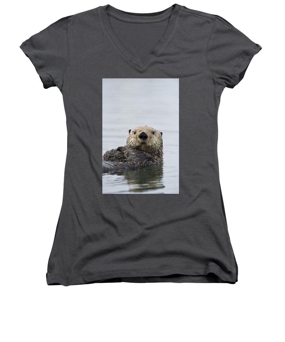 Michael Quinton Women's V-Neck featuring the photograph Sea Otter Alaska #1 by Michael Quinton