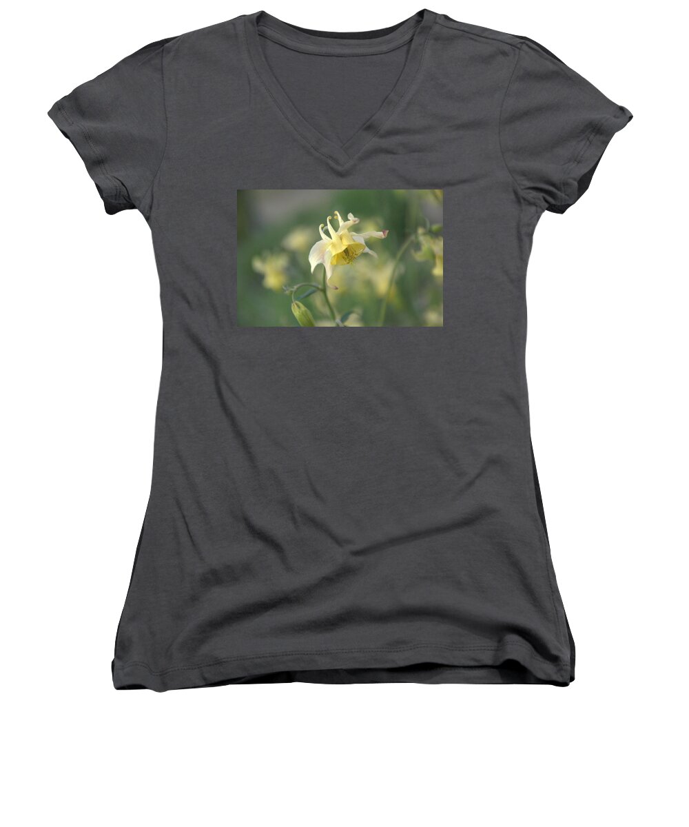 Flower Women's V-Neck featuring the photograph Yellow Columbine #1 by Frank Madia