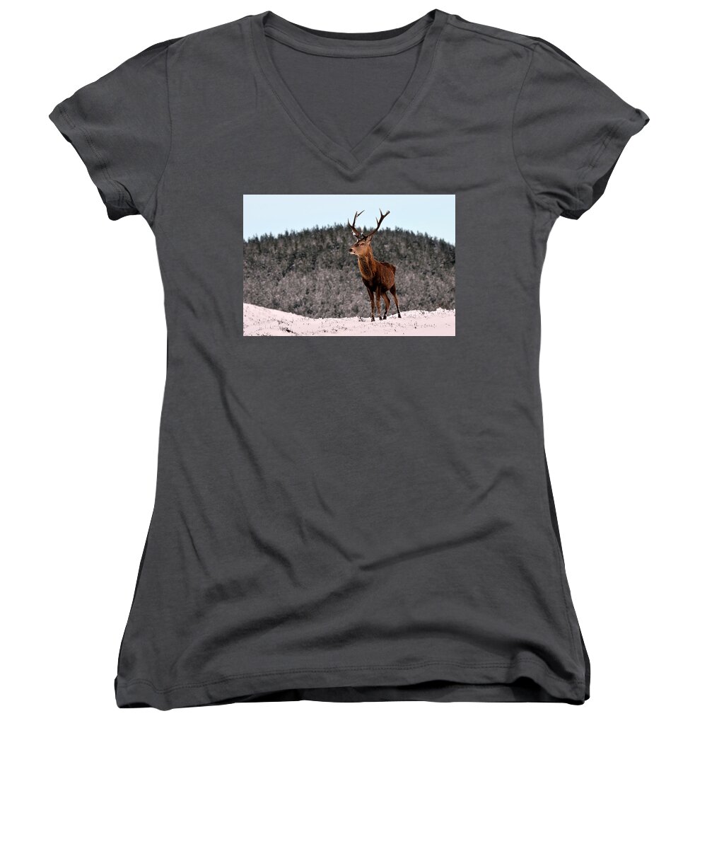 Stag In The Snow Women's V-Neck featuring the photograph Red Deer Stag #11 by Gavin Macrae