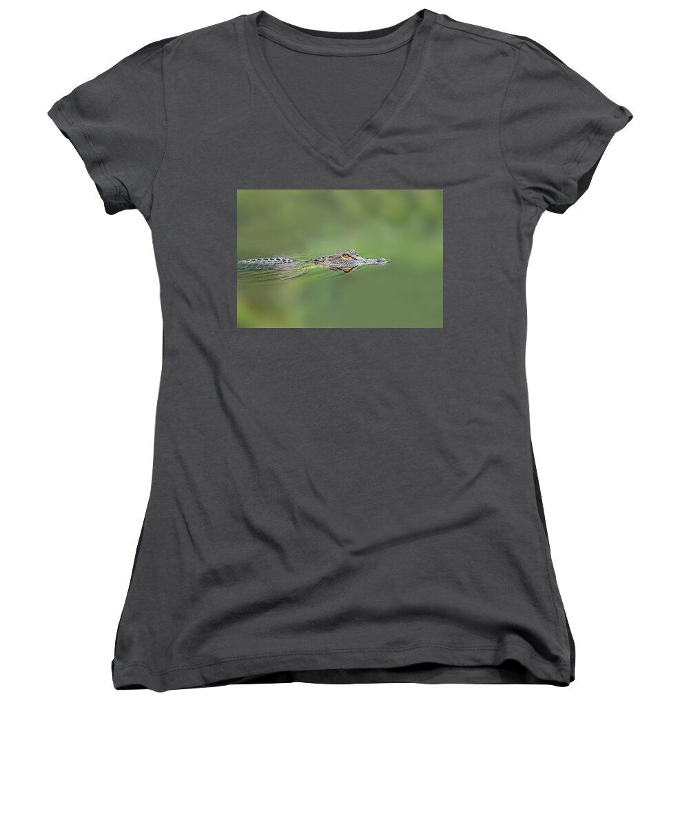 Aggression Women's V-Neck featuring the photograph Alligator #2 by Peter Lakomy