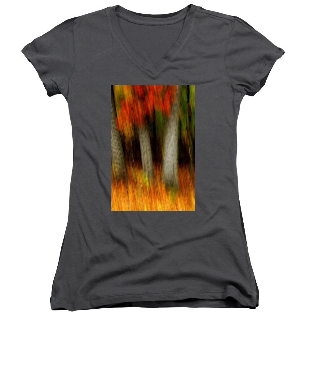 Woods Women's V-Neck featuring the photograph Blazing in the Woods #2 by Randy Pollard