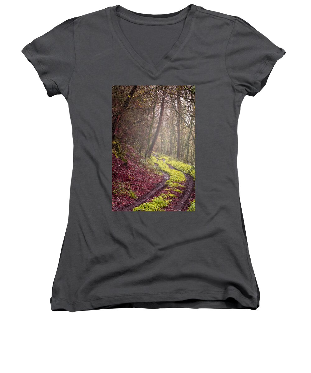 Autumn Women's V-Neck featuring the photograph Winter landscape #2 by Paulo Goncalves