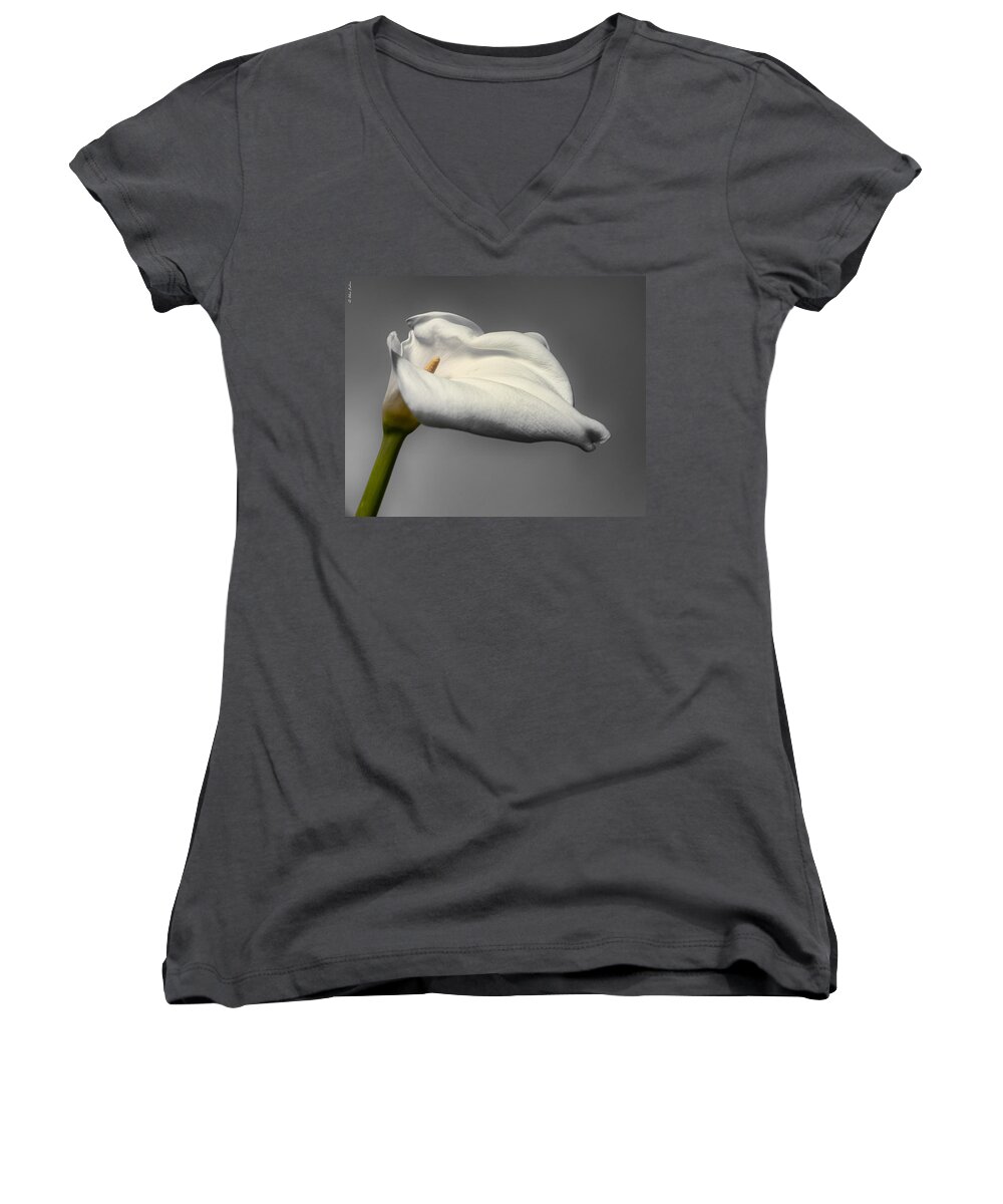 Flower Women's V-Neck featuring the photograph Calla Lily #1 by Alexander Fedin