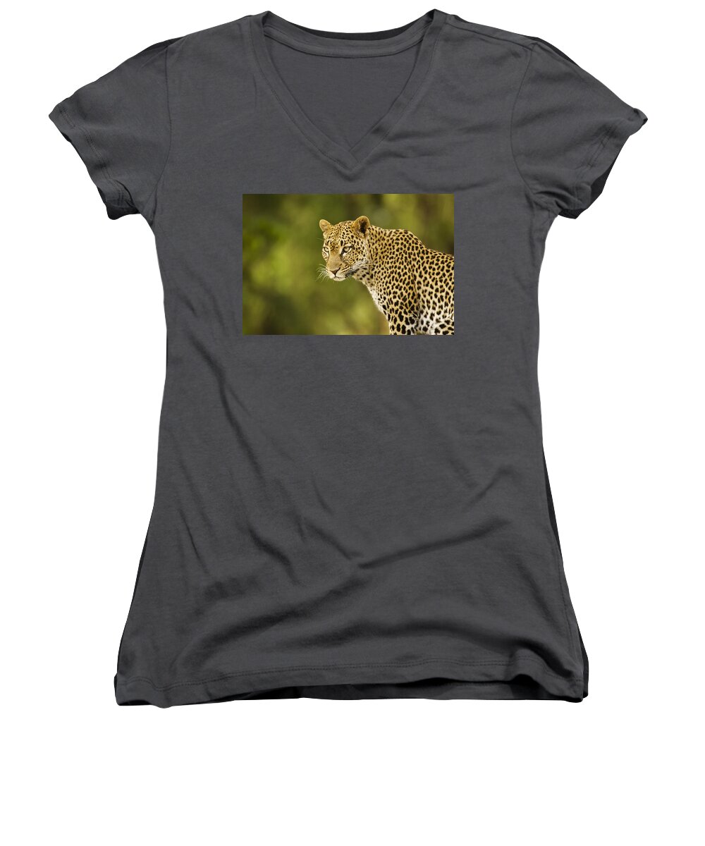Africa Women's V-Neck featuring the photograph Lovely Leopard #5 by Michele Burgess