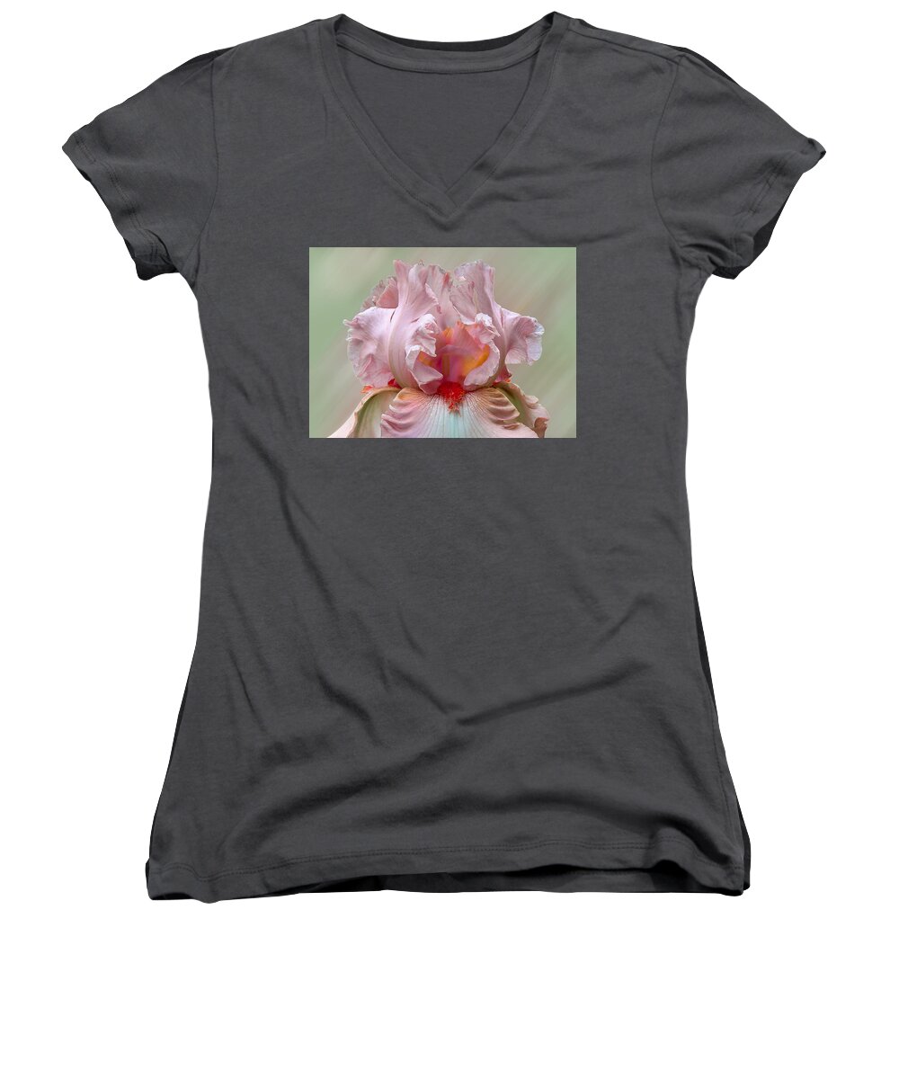 Pink Women's V-Neck featuring the photograph Pink Electrabrite Bearded Iris by Patti Deters
