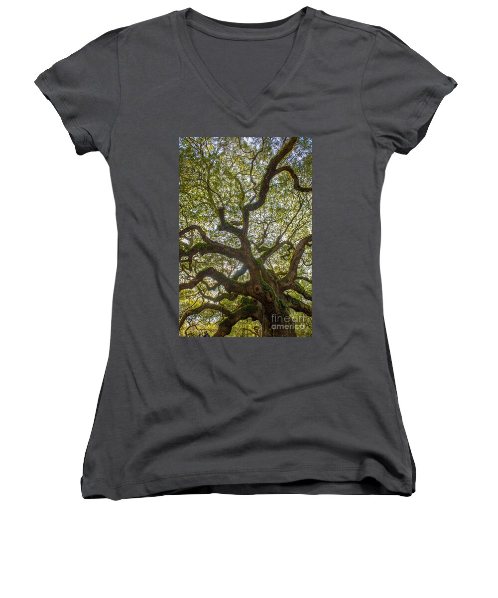 Angel Oak Tree Women's V-Neck featuring the photograph Island Angel Oak Tree by Dale Powell