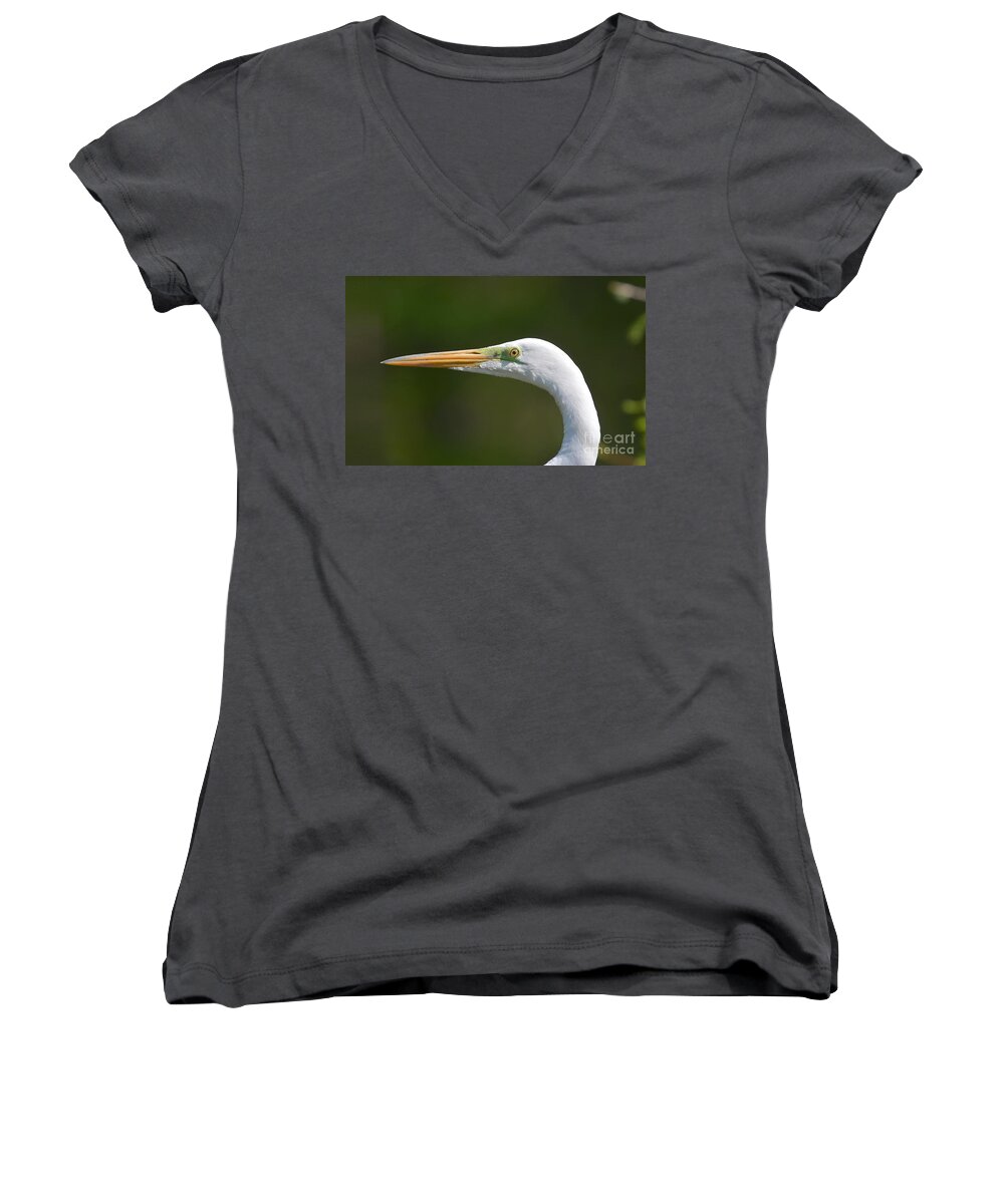 Great White Egret Women's V-Neck featuring the photograph A Beautiful Face by Kathy Baccari