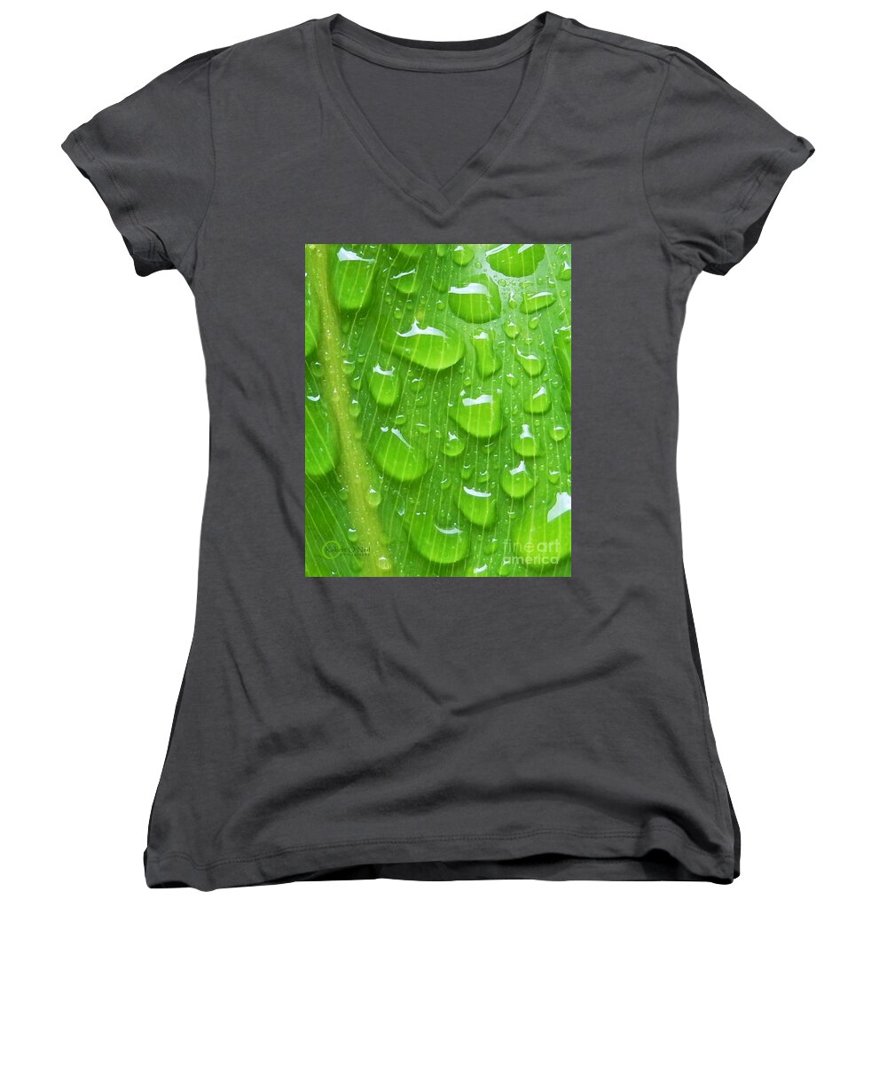 Plant Women's V-Neck featuring the photograph A Cleansing Morning Rain by Robert ONeil