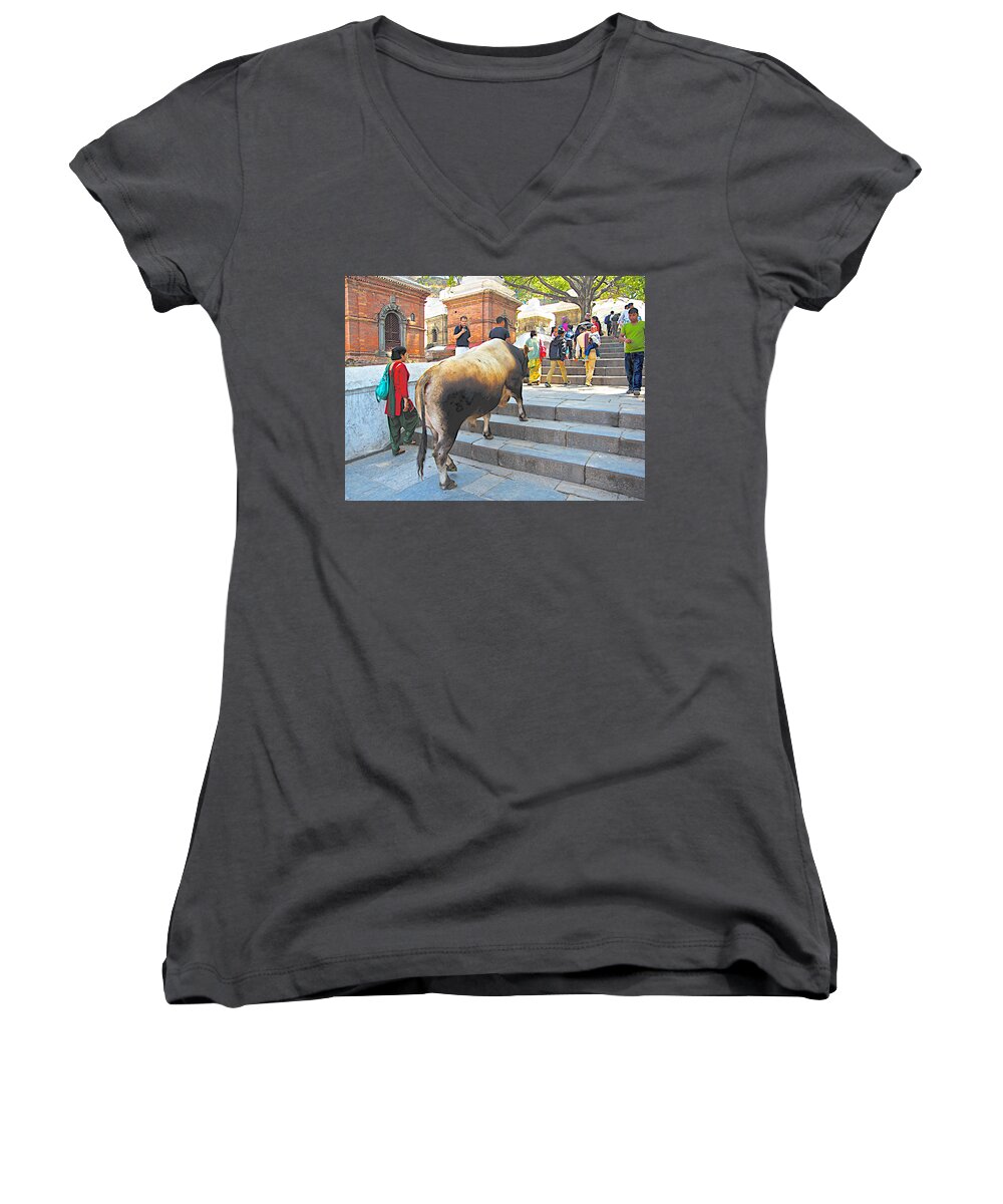 A Holy Cow Climbing Steps From Bagmati River In Kathmandu In Nepal Women's V-Neck featuring the photograph A Holy Cow Climbing Steps from Bagmati River in Kathmandu-Nepal by Ruth Hager