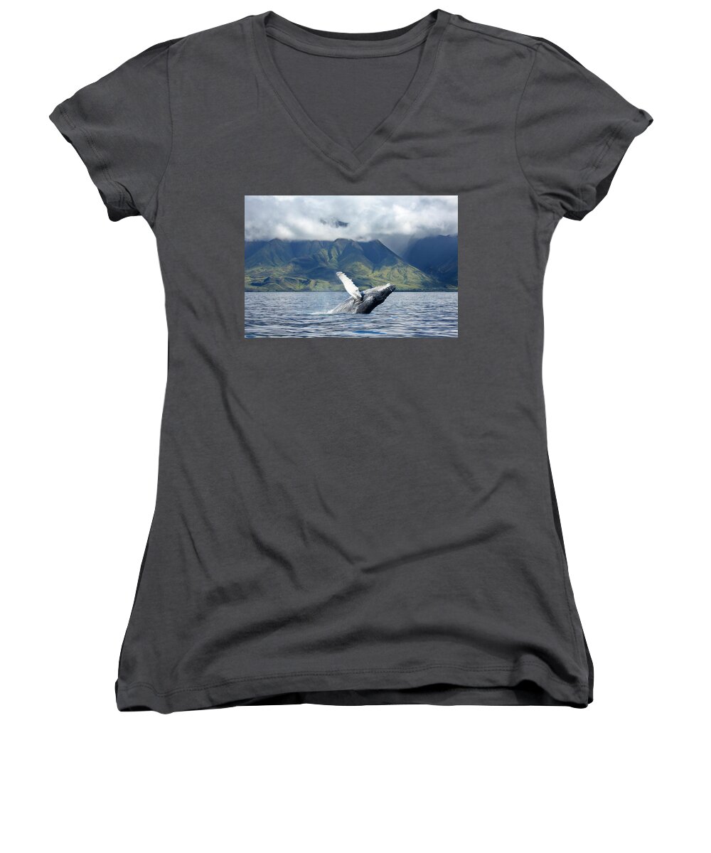 Animals In The Wild Women's V-Neck featuring the photograph A Humpback Whale Megaptera by Dave Fleetham