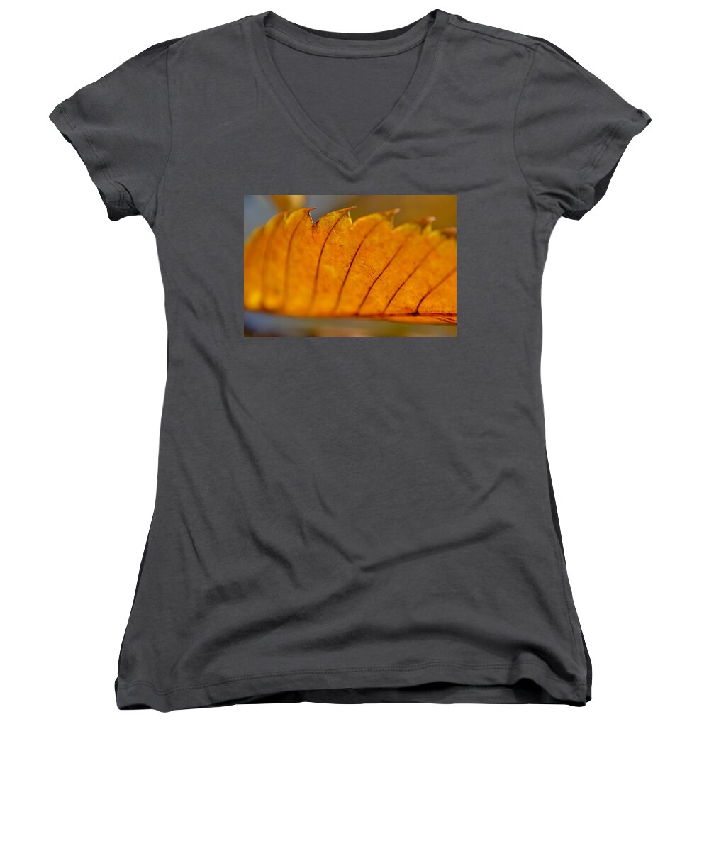 Leaf Women's V-Neck featuring the photograph A Memory of the Heart by Melanie Moraga